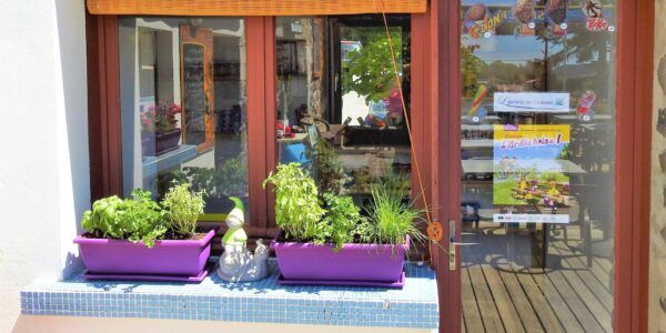 La petite épicerie du camping La petite épicerie du Camping Les Lavandes - Darbres